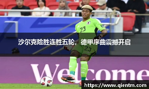 沙尔克险胜连胜五轮，德甲序曲震撼开启
