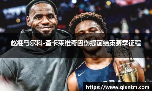 赵继马尔科-查卡莱维奇因伤提前结束赛季征程