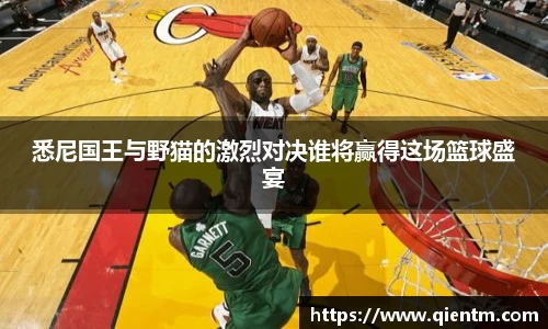 悉尼国王与野猫的激烈对决谁将赢得这场篮球盛宴