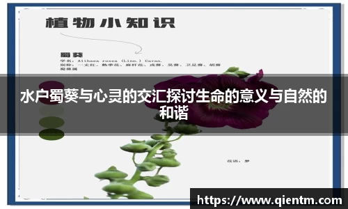 水户蜀葵与心灵的交汇探讨生命的意义与自然的和谐